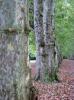 2009_Tuebingen_4b