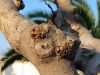 B_2014_Kreta_1