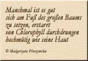 Gedicht