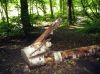 Reutlingen_D_4