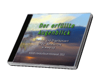 CD z programem