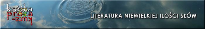 Literatura niewielkiej ilości słów