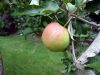 30.Reutlingen_2011_O