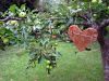 31.Reutlingen_2011_O