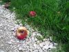 32.Reutlingen_2011_O