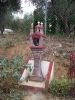 49.21.Chalkidiki_2011_O