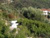 50.2.Chalkidiki_2011_O