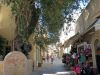 O_11._Kos_2012