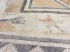 O_14._Kos_2012