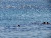O_2014_Kreta_36