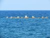 O_2014_Kreta_39