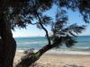 O_29._Kos_2012
