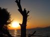 O_30._Kos_2012