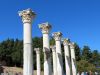 O_37._Kos_2012