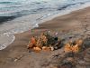 O_40._Kos_2012
