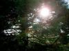 Reutlingen_M_2