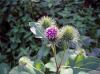 Reutlingen_M_7