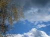 Reutlingen 2012
