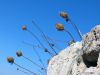 H_2._Kos_2012