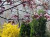 Reutlingen 2012