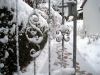 Reutlingen 2010