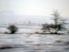 W_2015_uterwegs_w_drodze_4